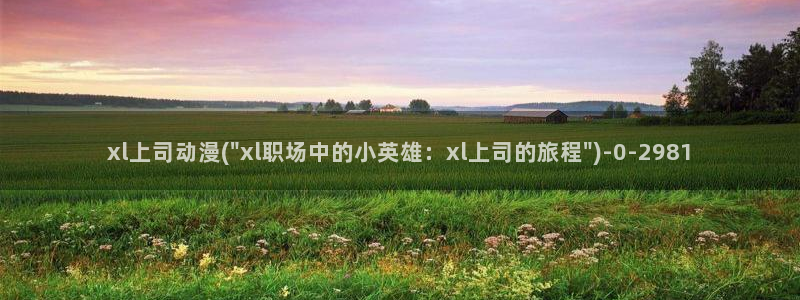 动漫肉片