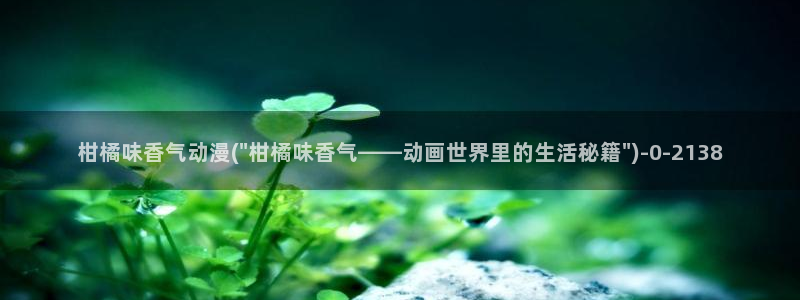 工口动漫