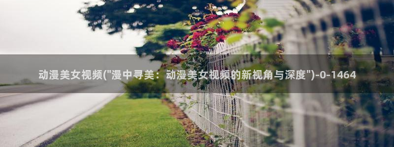 暗黑破坏神动漫