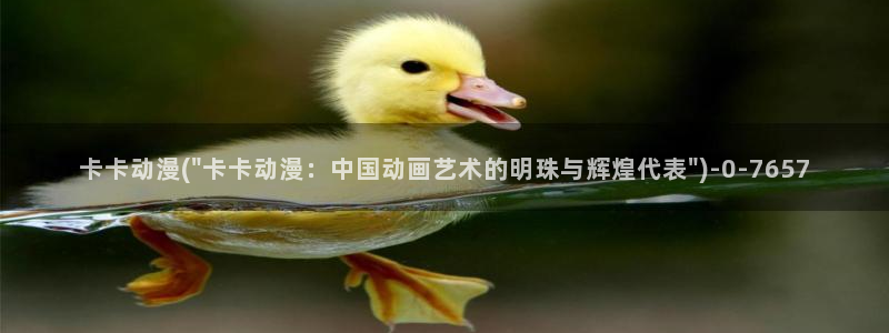 动漫节