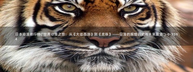 黑猫动漫