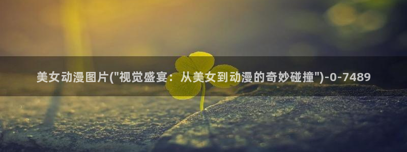 h动漫